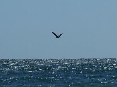 Прикрепленное изображение: 003.jpg